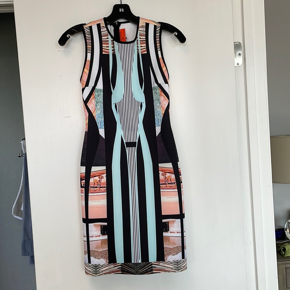 Clover Canyon fitted dress